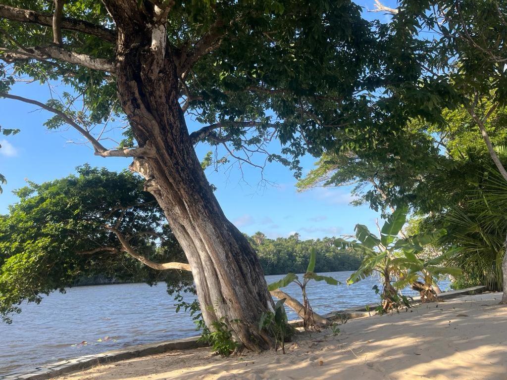 Pousada Paraiso Cultural Barreirinhas Kültér fotó