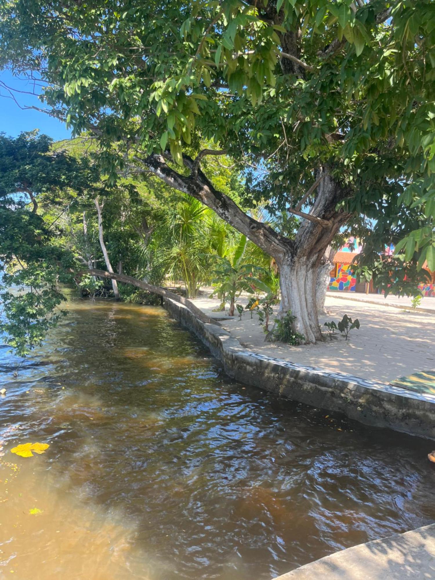 Pousada Paraiso Cultural Barreirinhas Kültér fotó